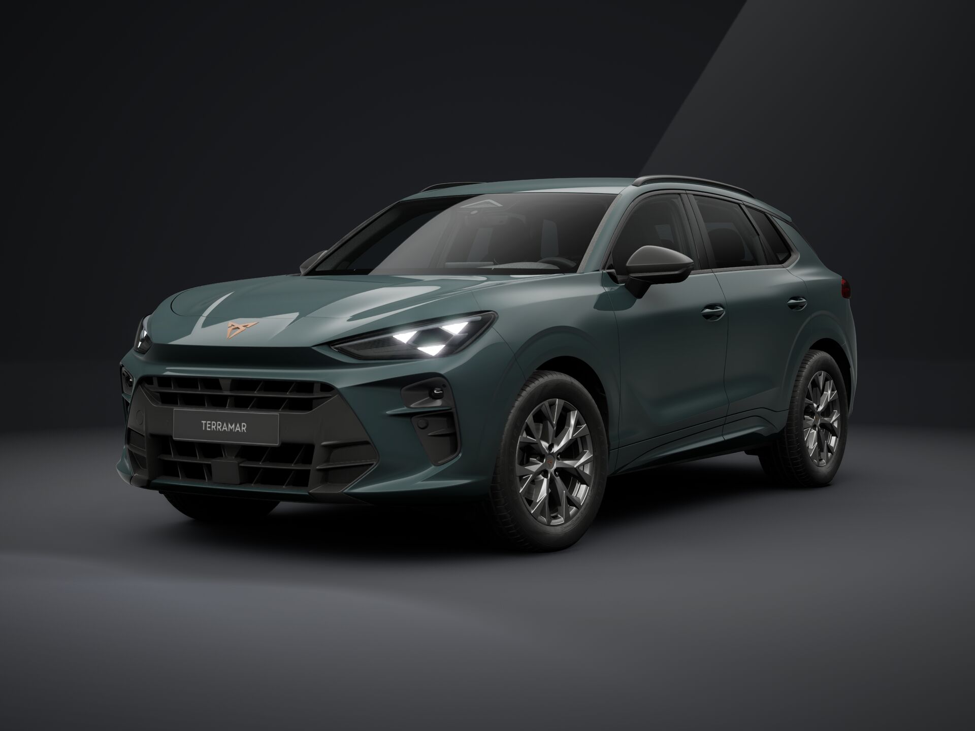 vgrdd-cupra-terramar-299-1